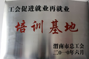 2010年6月  渭南市總工會授予工會促進就業(yè)再就業(yè)培訓(xùn)基地.jpg